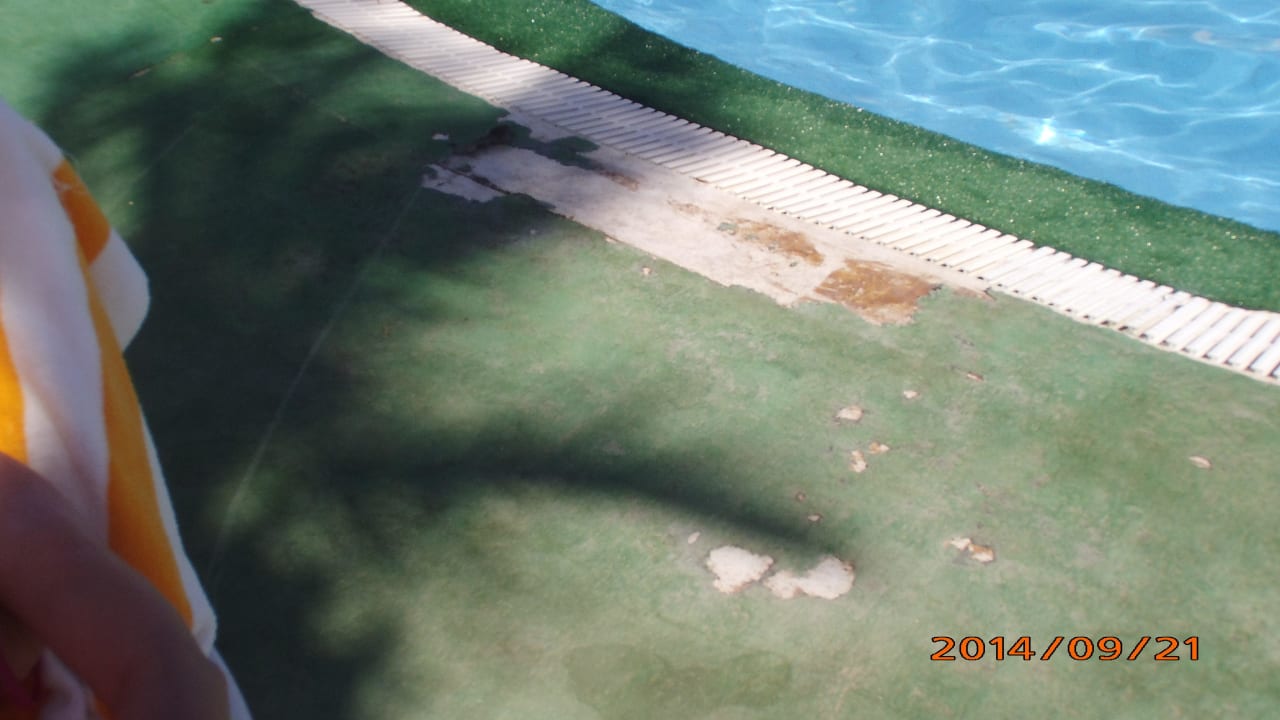 Kunstrasen am pool Panorama Bungalows Resort El Gouna