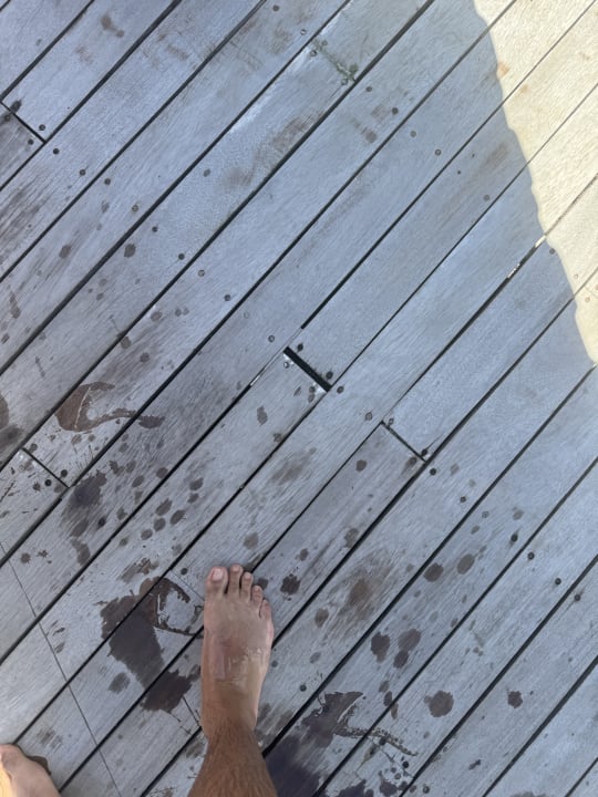 Pool The Plaza Bodrum