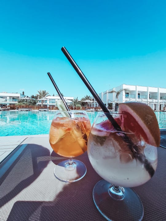 Gastro Paloma Finesse