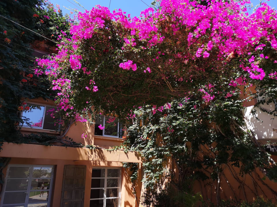 Gartenanlage Anissa Beach & Village