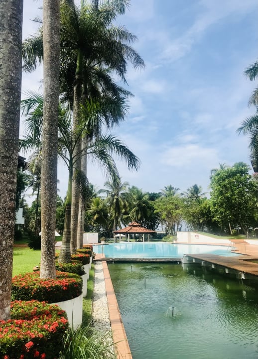 Pool Hotel Lanka Princess Ayurveda