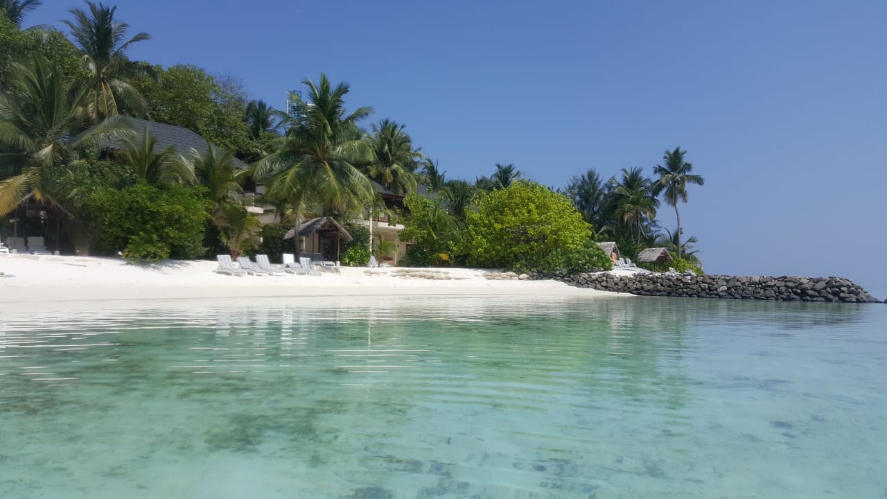 Blick auf den Strand vom Meer aus Summer Island Maldives