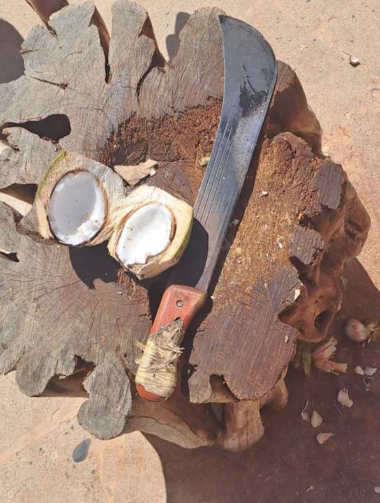 Sonstiges Hotel Riu Palace Santa Maria