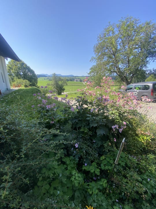 Sonstiges Pension Holneich