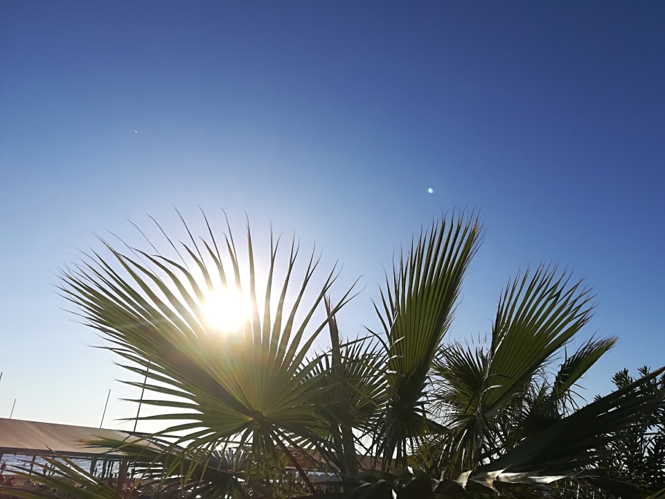 Strand Seher Kumköy Star Resort & Spa