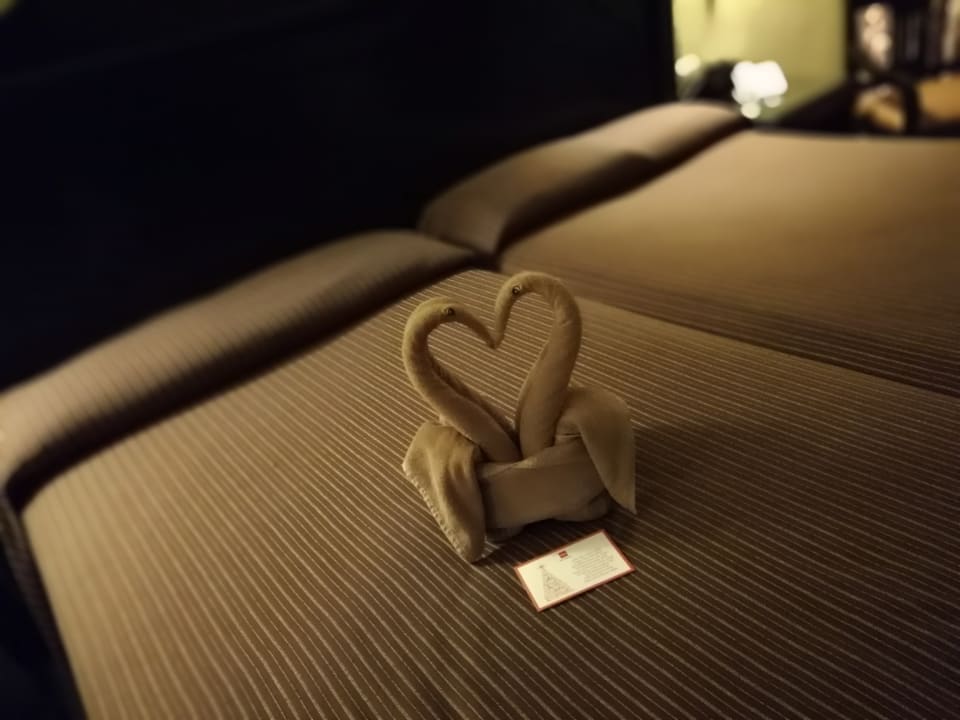 Tag 1 Hotel Riu Tequila