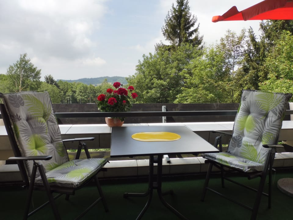 Ausblick Bayerwald Ferienwohnungen Brinckmann