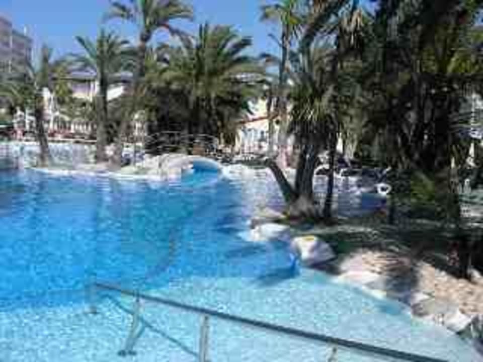 Pool Alcudia Garden Aparthotel