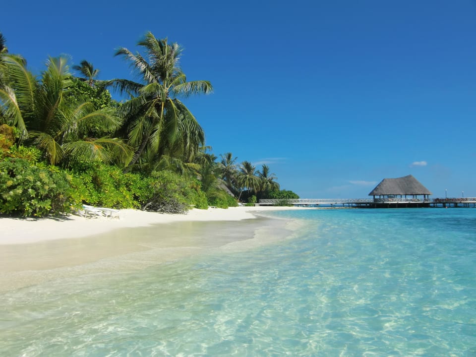 12 Uhr - Flut  Bandos Maldives