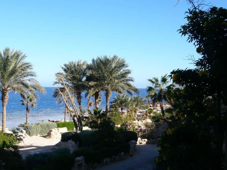 Blick vom Balkon Pickalbatros Citadel Resort