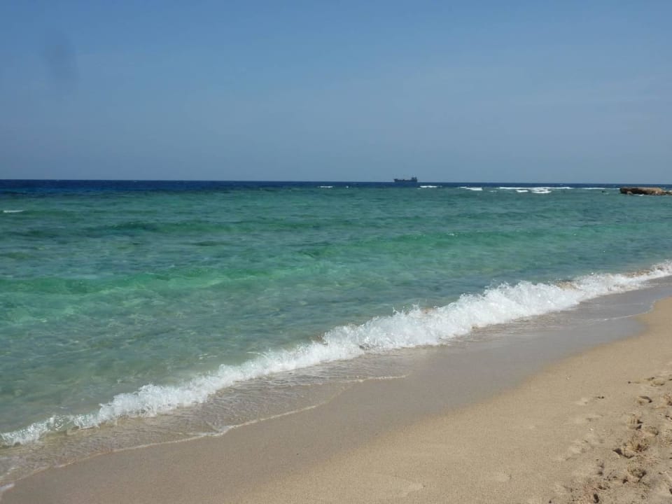 Glasklares Wasser und feinster Sand Malikia Resort Abu Dabbab