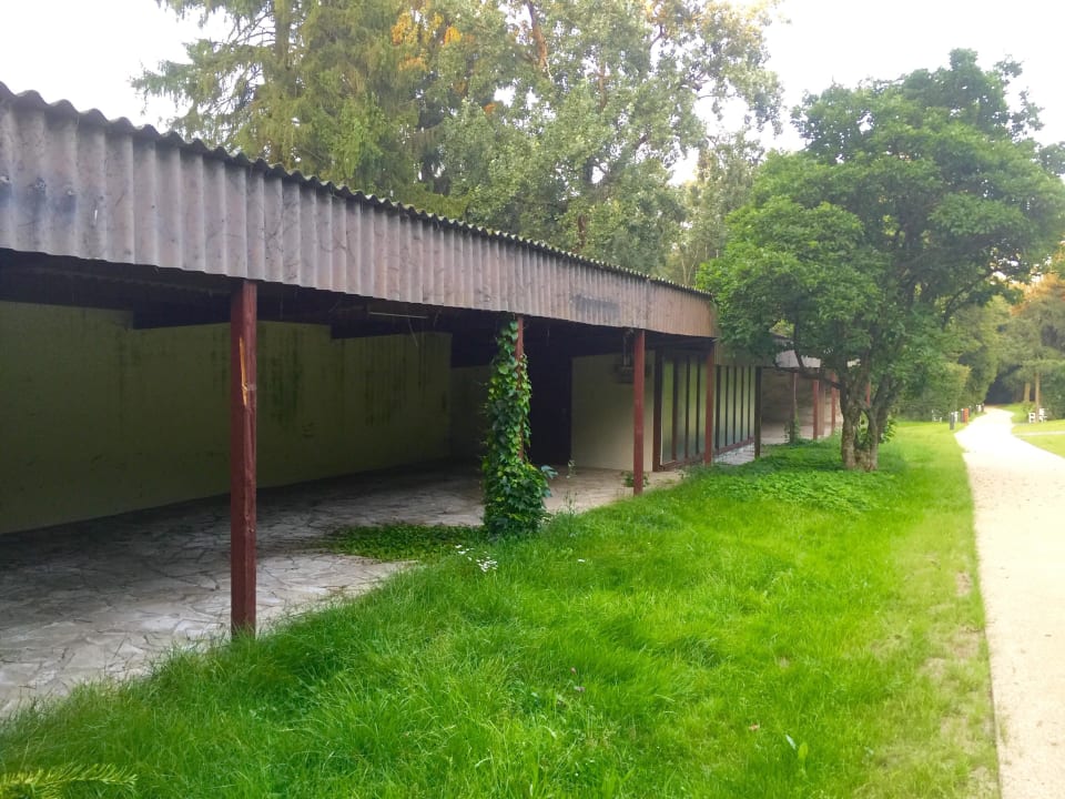 Garten Dorint Hotel Frankfurt/Oberursel