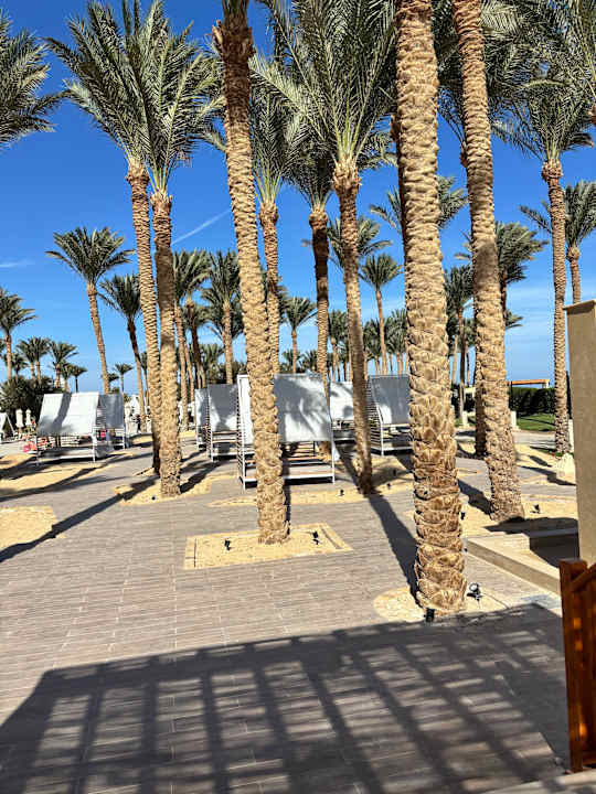 Außenansicht Makadi Spa - Adults only