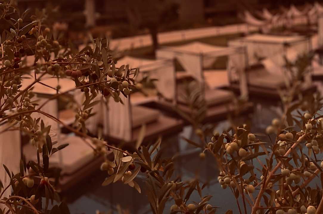 Außenansicht King Jason Zante – Designed for Adults