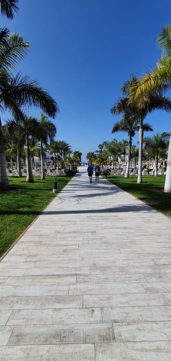 Gartenanlage Hotel Riu Palace Meloneras