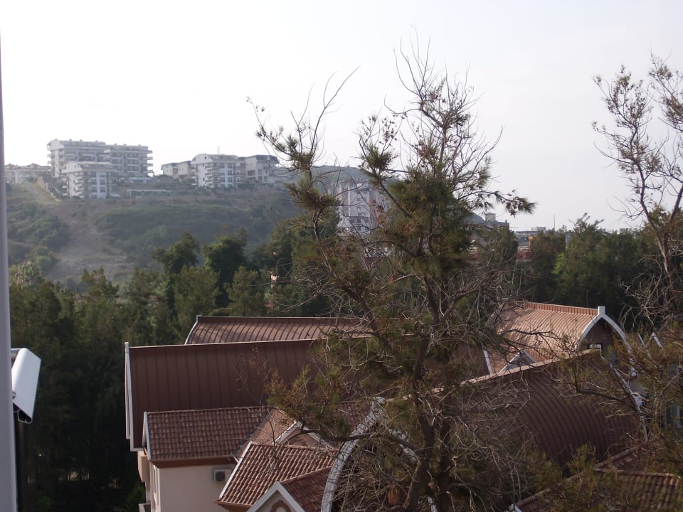 Zimmer 1308 Dizalya Palm Garden