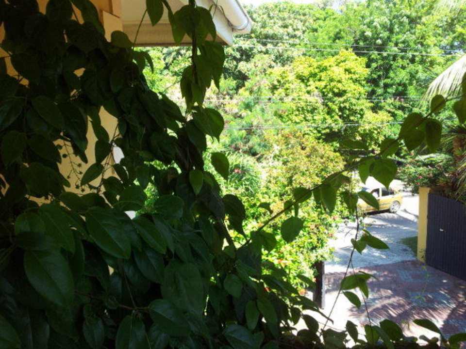 Blick vom Balkon Villa Dorado