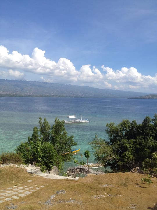 Die Bucht  Hotel Turtle Bay Dive Resort