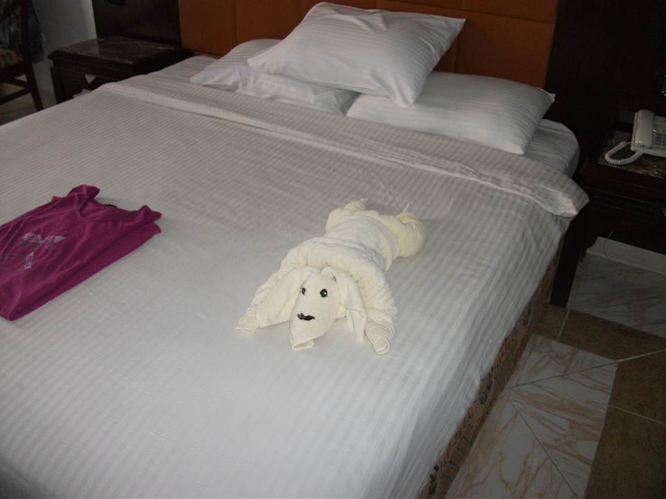 Tolle Überraschung unseres Roomboy´s Beach Albatros Resort