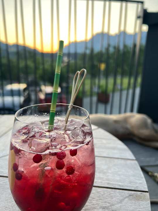 Gastro Hotel Penzinghof