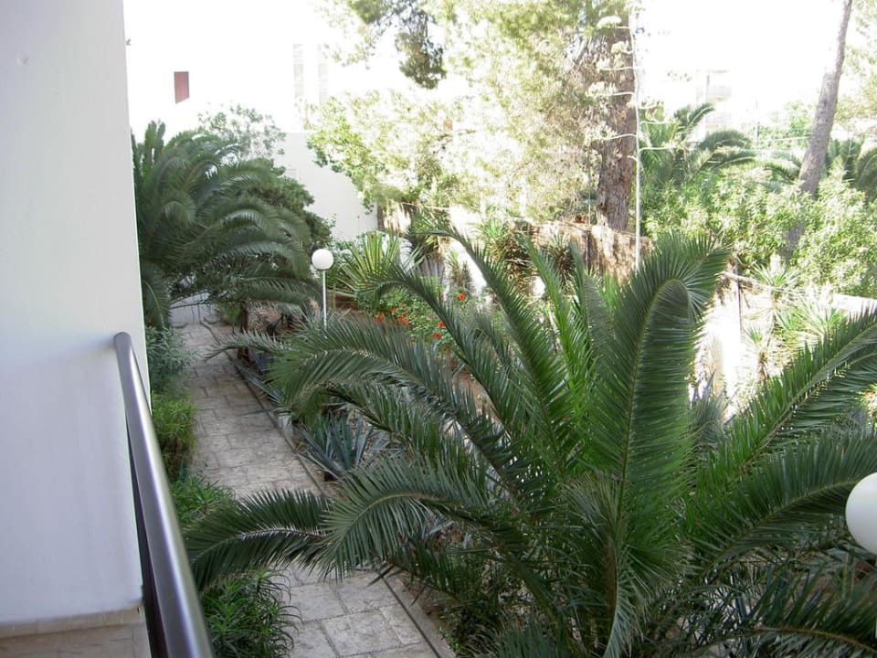 Ausblick  Balkon Gartenanlage Hotel Osiris