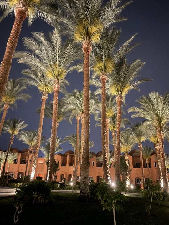 Außenansicht Jaz Makadi Oasis Resort