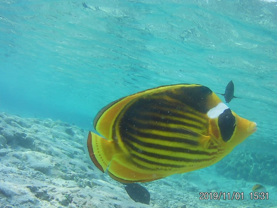 Strand Jaz Grand Marsa