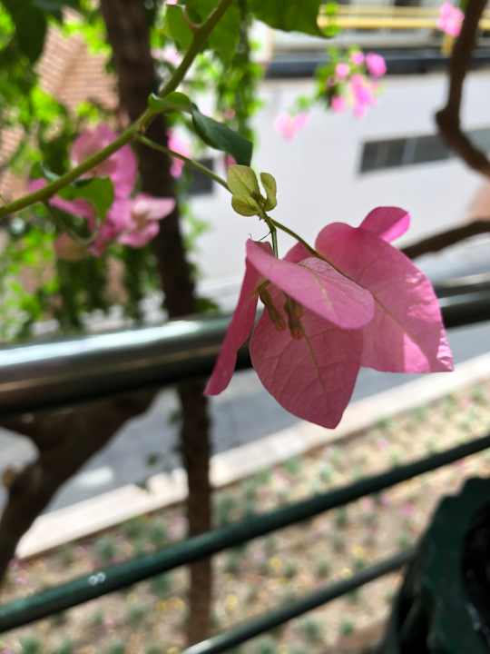 Gartenanlage Limak Limra Hotel & Resort