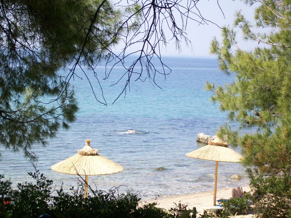 Hotelstrand Blue Dolphin Resort Hotel