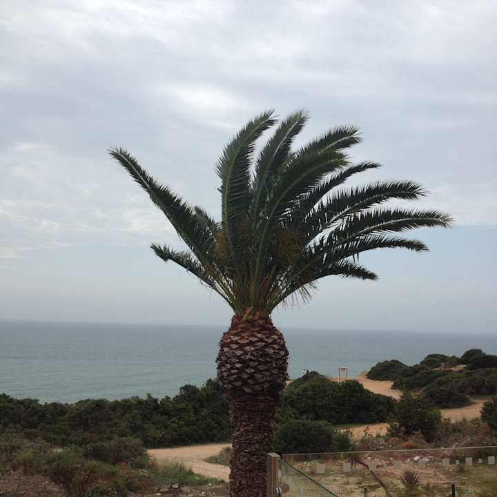 Garten Hotel Baia Cristal