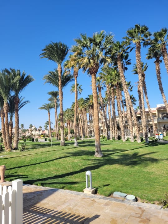 Gartenanlage Beach Albatros Resort