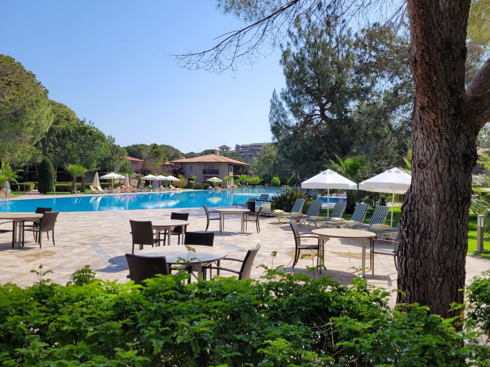 Gastro Xanadu Resort Hotel