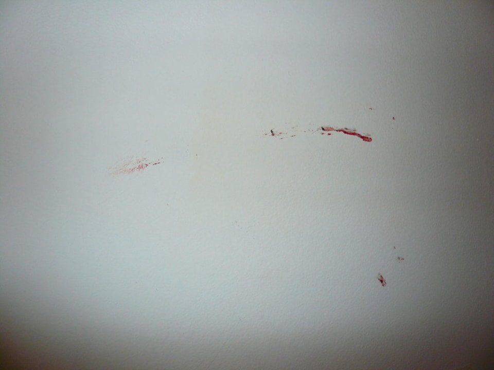 Jeden Tag und Nacht Stechmücken Malikia Resort Abu Dabbab