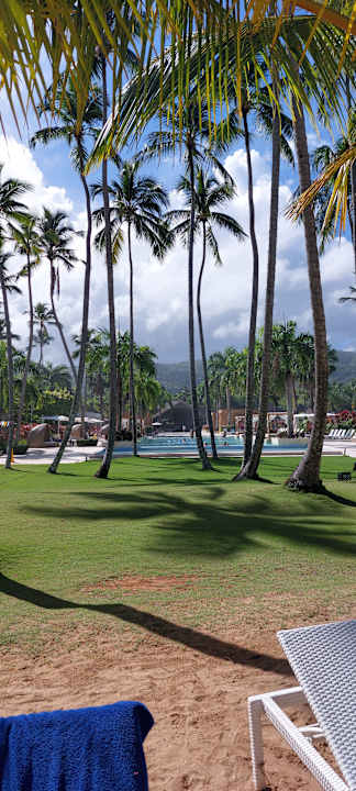 Pool Viva V Samana by Wyndham – Adults Only