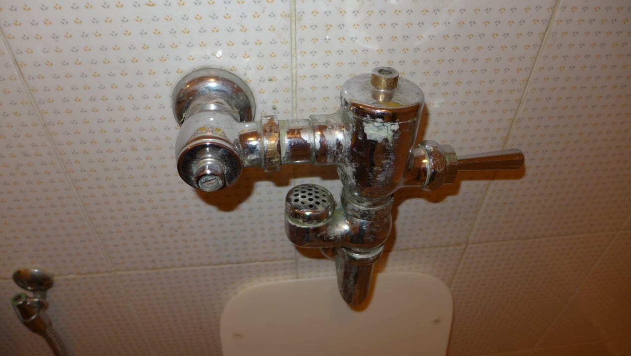 Zimmer Ghazala Gardens