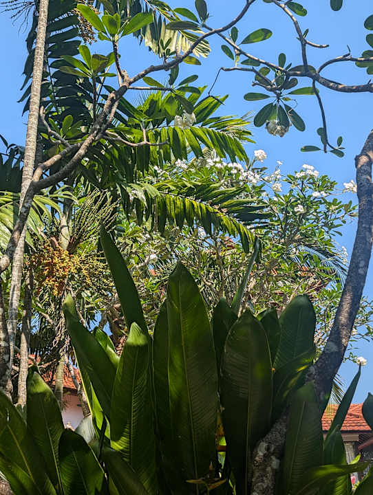 Gartenanlage Bali Garden Beach Resort