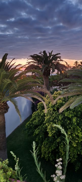 Ausblick Alexandre Hotel Gala