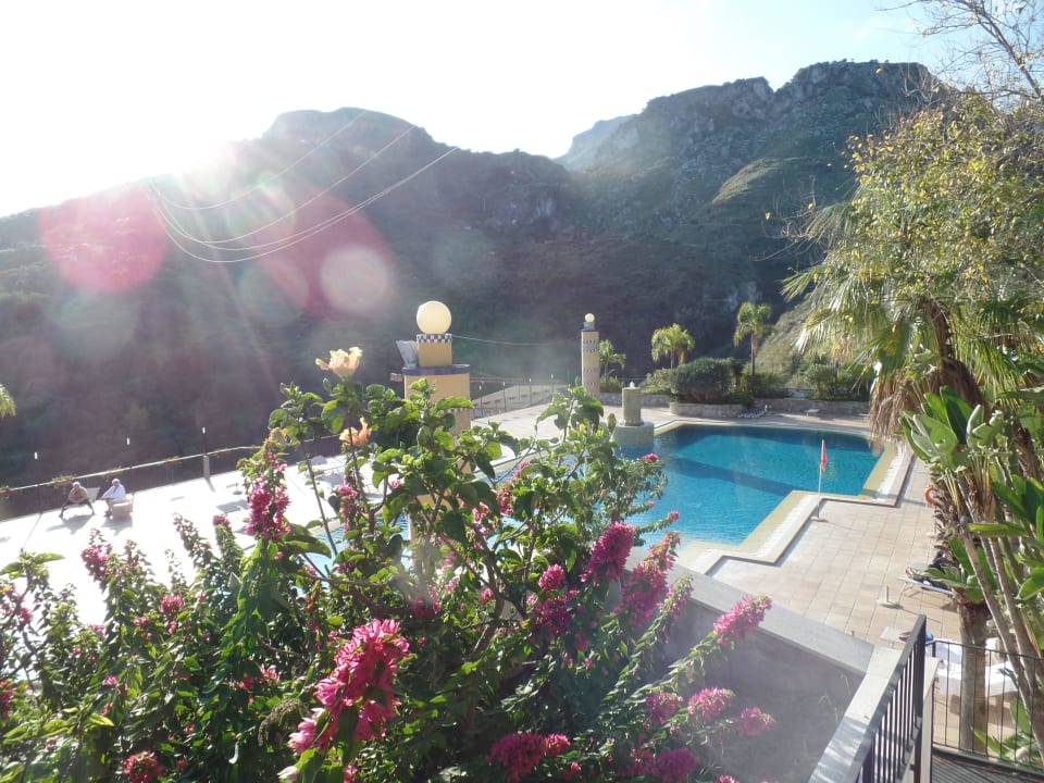 Blumen und Pool Hotel Olimpo