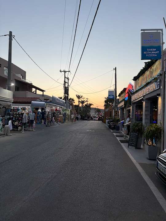 Sonstiges Cactus Royal