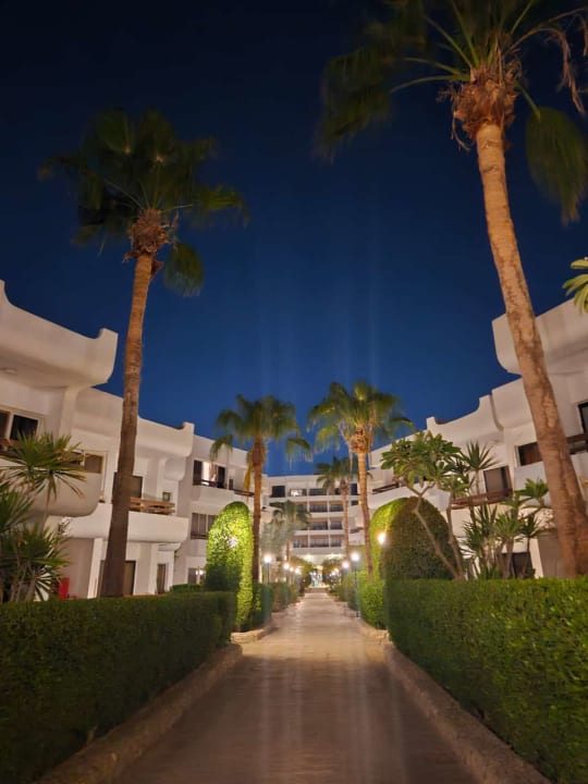 Ausblick Marlin Inn Azur Resort