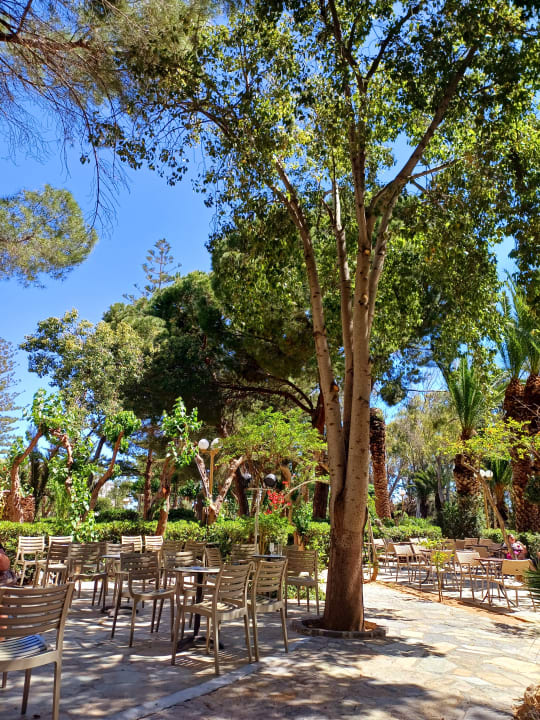 Gastro Apollonia Beach Resort & Spa
