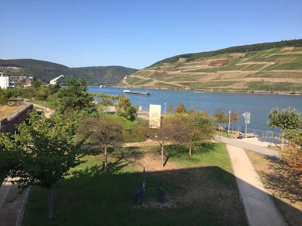 Ausblick PAPA RHEIN - Hotel & Spa
