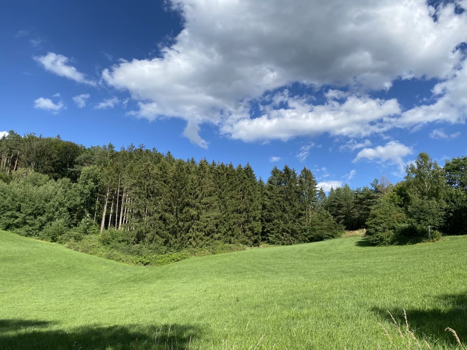 Gartenanlage Baumpalast Baumhaushotel Rosenberg