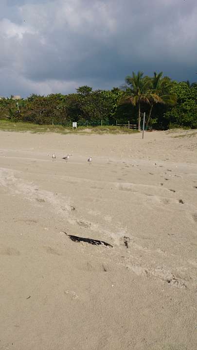 Strand Iberostar Origin Taínos