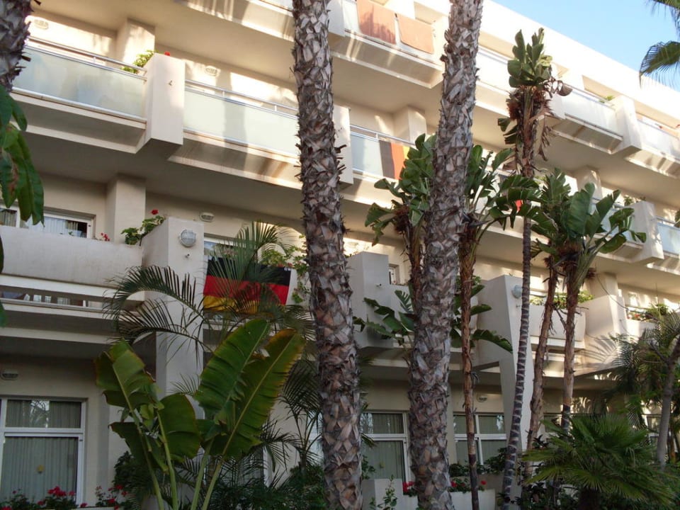 Es war WM Tabaiba Princess