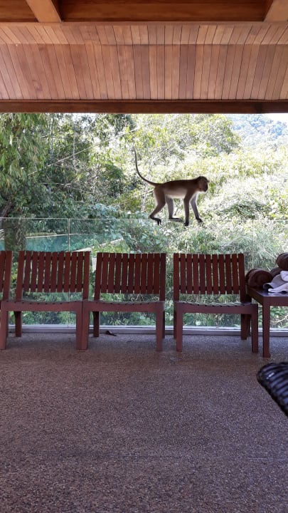 Pool Hotel Thanyamundra Organic Resort