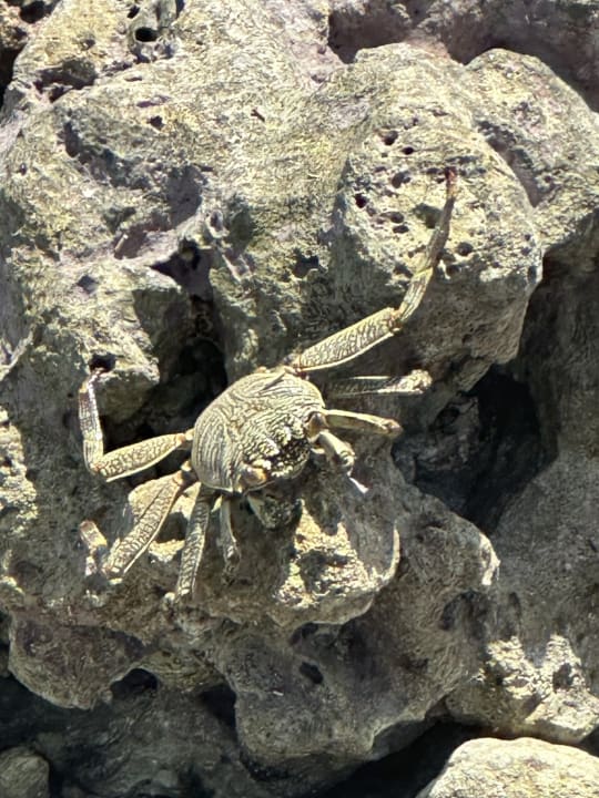 Außenansicht South Palm Resort Maldives