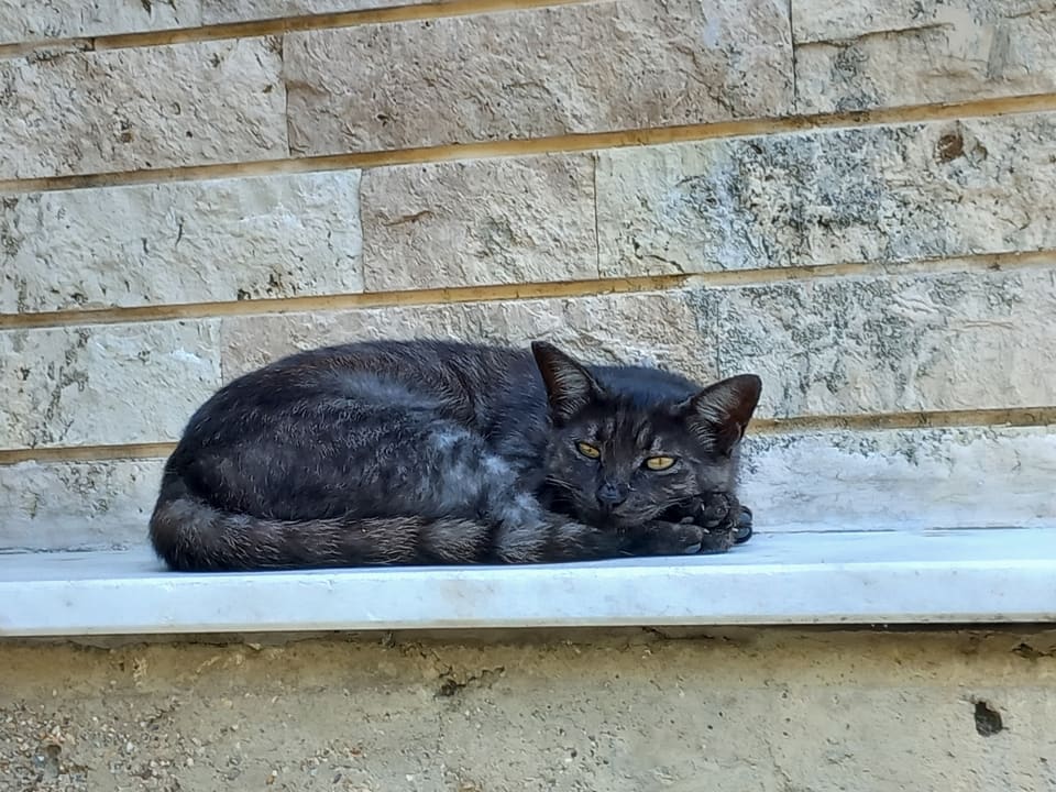 Sonstiges TUI BLUE Xanthe