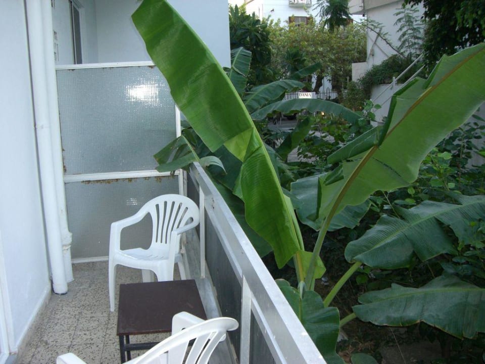 Balkon Hotel International