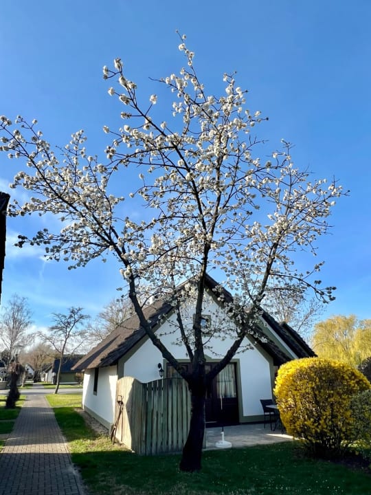 Außenansicht Hotel VILA VITA Pannonia